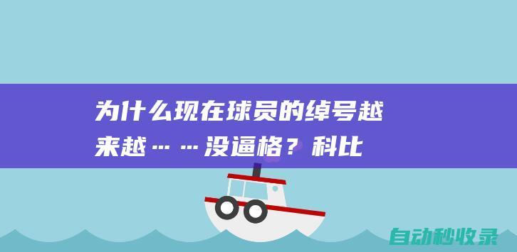 为什么现在球员的绰号越来越……没逼格？|科比|凯文杜兰特|勒布朗詹姆斯|诺维茨基|库里