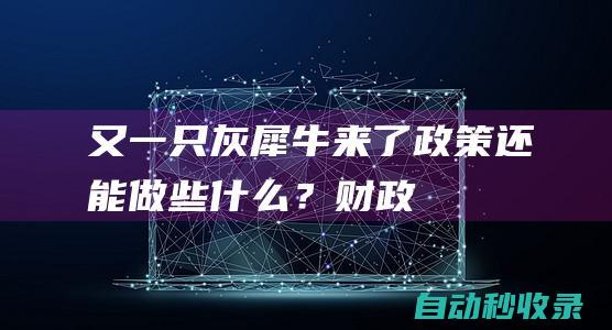 又一只灰犀牛来了：政策还能做些什么？|财政|樊纲|交易税